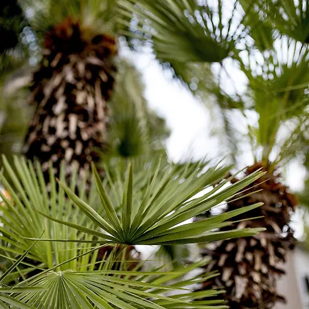 Отель Bersoca Беникасим